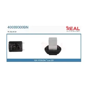 40089300BN REAL
