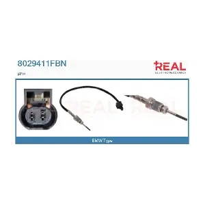 8029411FBN REAL