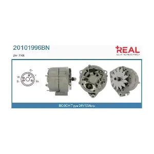 REAL 20101996BN