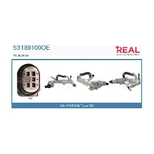 53189100OE REAL