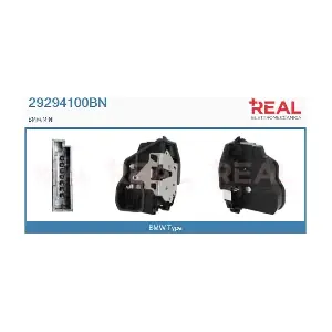 29294100BN REAL