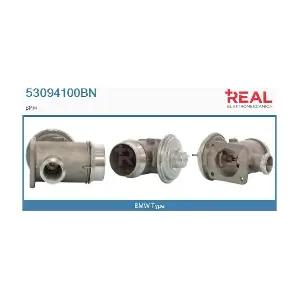 REAL 53094100BN