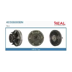 40306000BN REAL