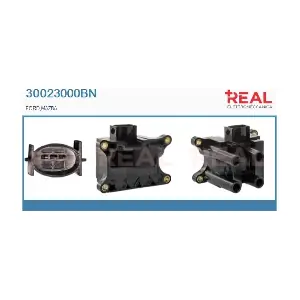 REAL 30023000BN