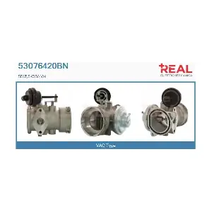 REAL 53076420BN