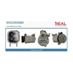 REAL 60023650BN