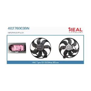 REAL 40276003BN