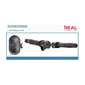 30090200BN REAL