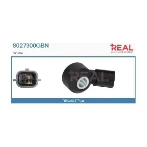 8027300GBN REAL