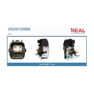 29255100BN REAL
