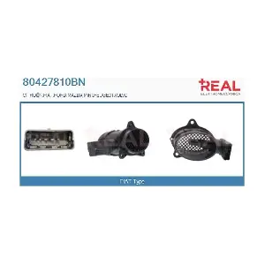 REAL 80427810BN