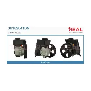 REAL 36182641BN