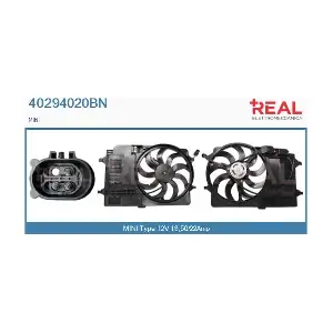 40294020BN REAL
