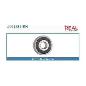 REAL 25613311BN