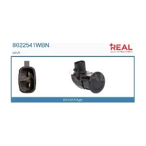 8022541WBN REAL