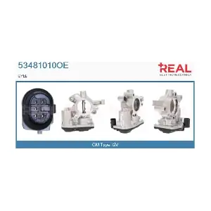 53481010OE REAL