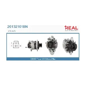 REAL 20132101BN