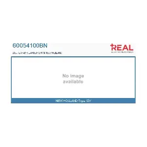 REAL 60054100BN