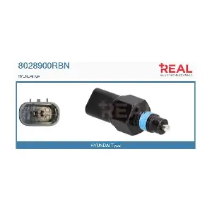 8028900RBN REAL