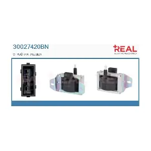 30027420BN REAL