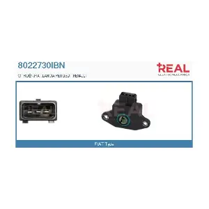 REAL 8022730IBN