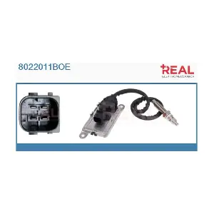REAL 8022011BOE