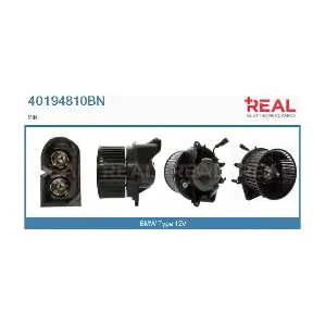 40194810BN REAL