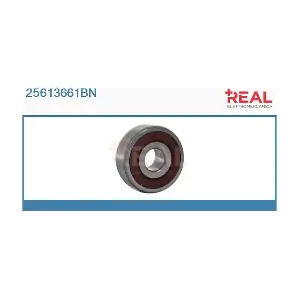 25613661BN REAL