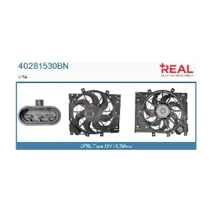 40281530BN* REAL