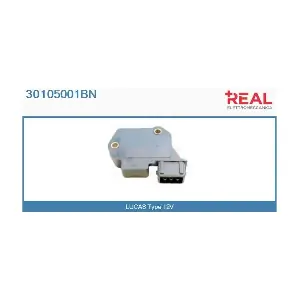 30105001BN REAL