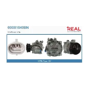 60081640BN REAL