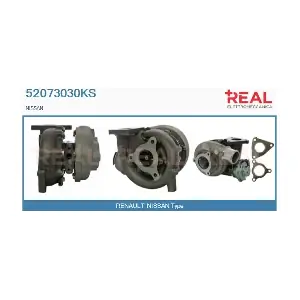 52073030KS REAL