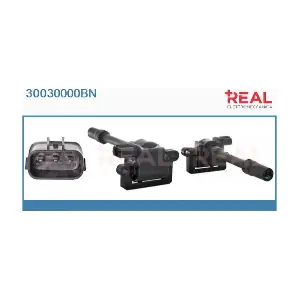 REAL 30030000BN