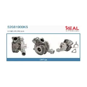 REAL 52081900KS
