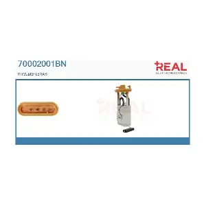 70002001BN REAL