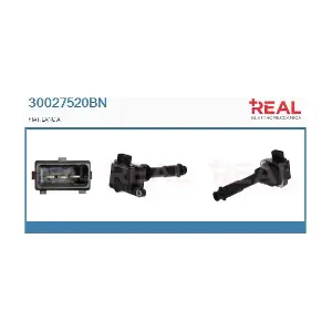 30027520BN REAL