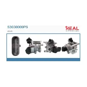 53030000PS REAL