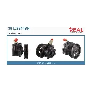 36123841BN REAL