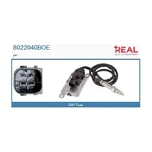 8022040BOE REAL