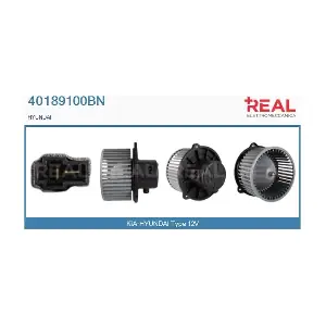 40189100BN REAL