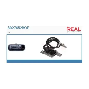 8027652BOE REAL