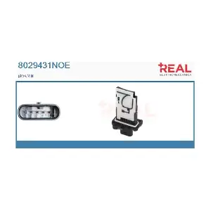 REAL 8029431NOE