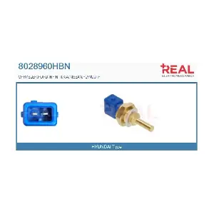 8028960HBN REAL