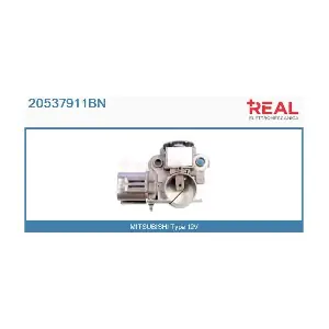 20537911BN REAL