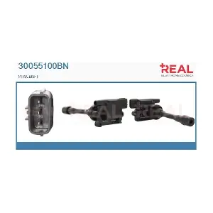 REAL 30055100BN