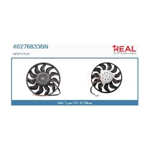 40276833BN REAL