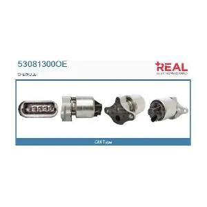 53081300OE REAL