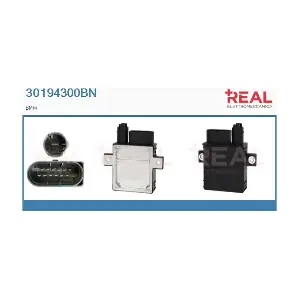 30194300BN REAL