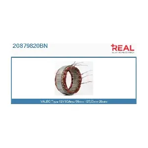 20879820BN REAL