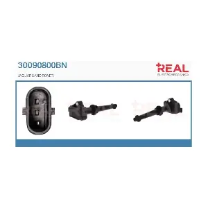 30090800BN REAL